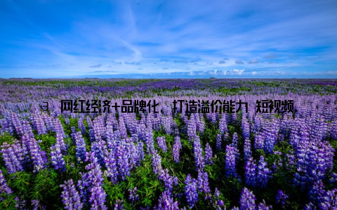 ③ 网红经济+品牌化, 打造溢价能力 短视频、直播带货、社群营销等方式, 建立自有品牌, 提升产品溢价, 不再“低价批发”