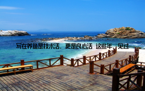 写在养鱼是技术活, 更是良心活 这些年, 见过有人为省成本用劣质苗, 血本无归; 也见过有人死磕技术, 把鱼塘做成家庭农场, 直播卖鱼供不应求