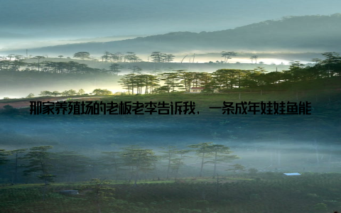 那家养殖场的老板老李告诉我, 一条成年娃娃鱼能卖到上千元, 市场需求旺盛, 尤其适合山区水质好的地方养殖