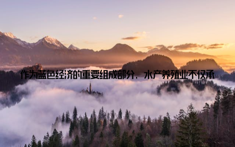 作为蓝色经济的重要组成部分, 水产养殖业不仅承担着保障粮食安全的重要使命, 更是推动海洋经济高质量发展的关键引擎