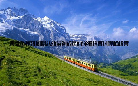 黄骨鱼养殖周期从幼苗到成鱼的详细培育过程解析黄骨鱼作为一种经济价值高、市场需求稳定的淡水鱼类, 近年来在我国养殖业中占据重要地位