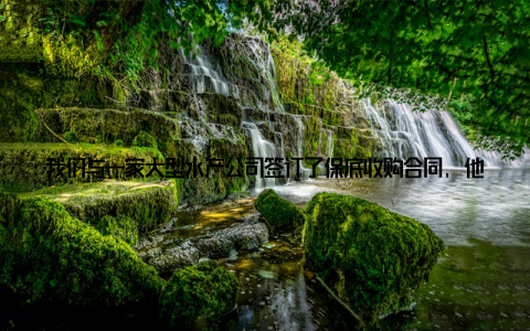 我们与一家大型水产公司签订了保底收购合同, 他们不仅提供技术指导, 还承诺以市场价上浮10%的价格收购合格产品