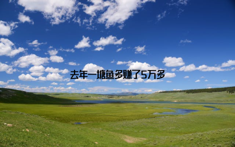 去年一塘鱼多赚了5万多