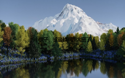 小伙子, 这鱼鳞间距太密了