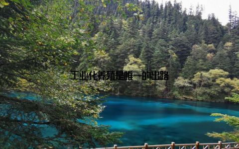工业化养殖是唯一的出路