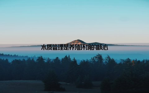 水质管理是养殖环境的核心