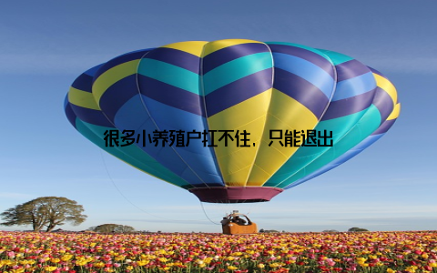 很多小养殖户扛不住, 只能退出