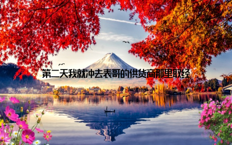 第二天我就冲去表哥的供货商那里取经