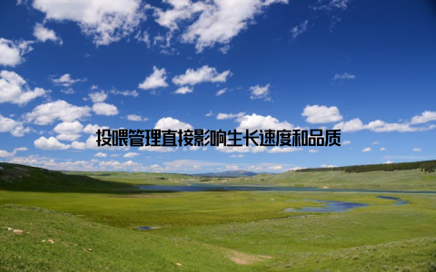 投喂管理直接影响生长速度和品质