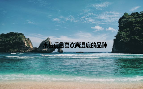 – 水苔适合喜欢高湿度的品种