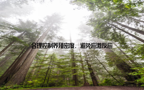 合理控制养殖密度, 避免应激反应