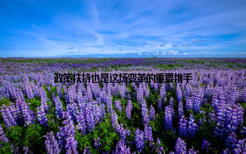 政策扶持也是这场变革的重要推手