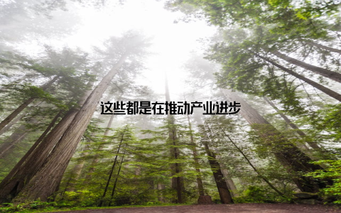这些都是在推动产业进步