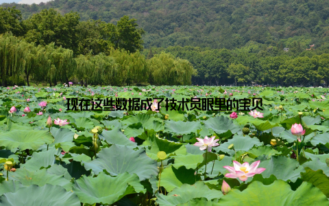 现在这些数据成了技术员眼里的宝贝