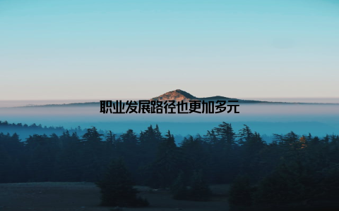 职业发展路径也更加多元