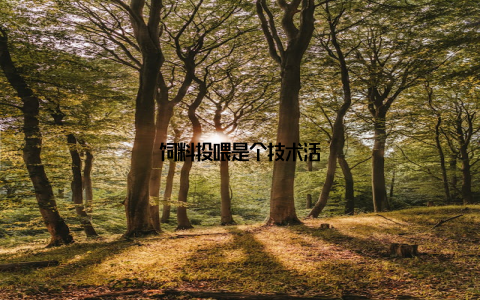 饲料投喂是个技术活