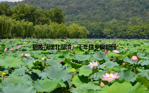 碧波荡漾北部湾, 千年珠乡焕新颜