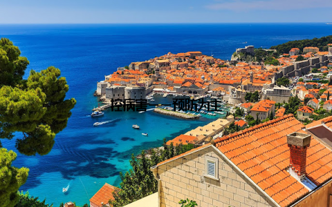 控病害——预防为主