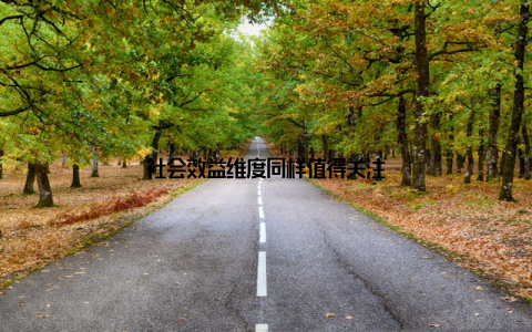 社会效益维度同样值得关注