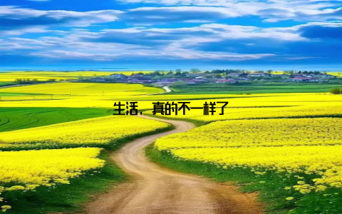 生活, 真的不一样了