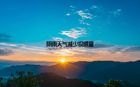 阴雨天气减少投喂量