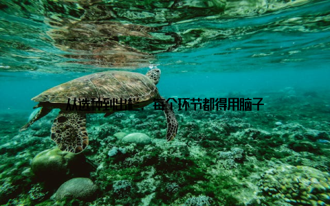 从选种到出栏, 每个环节都得用脑子