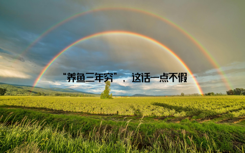 “养鱼三年穷”, 这话一点不假