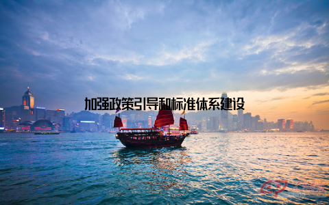 加强政策引导和标准体系建设