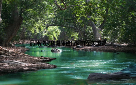 品种改良和健康管理同样至关重要