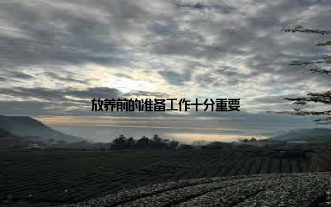 放养前的准备工作十分重要