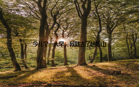 今儿个一大早, 我就去了趟后山