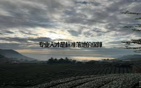 专业人才是标准落地的保障