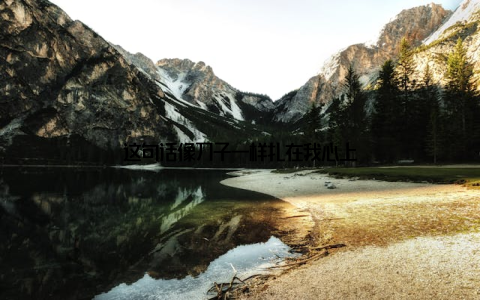 这句话像刀子一样扎在我心上