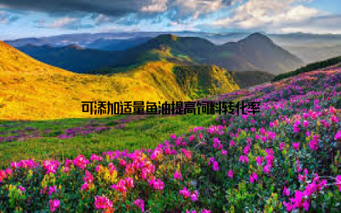 可添加适量鱼油提高饲料转化率