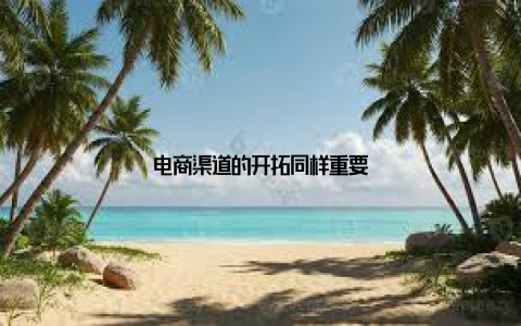 电商渠道的开拓同样重要