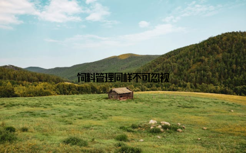 饲料管理同样不可忽视