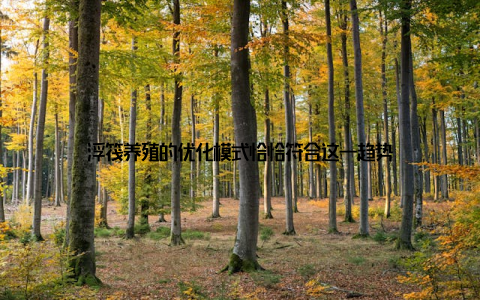 浮筏养殖的优化模式恰恰符合这一趋势