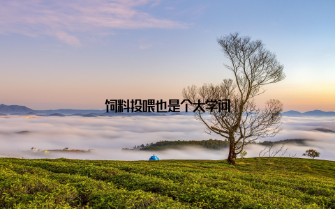 饲料投喂也是个大学问