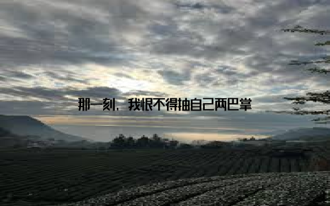 那一刻, 我恨不得抽自己两巴掌