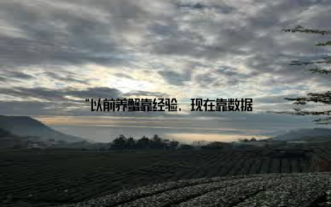 “以前养蟹靠经验, 现在靠数据