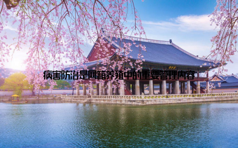 病害防治是网箱养殖中的重要管理内容