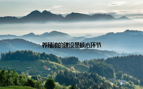 养殖池的建设是核心环节