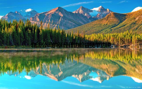 物流公司的张经理边检查货单边说