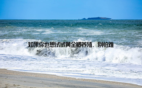 如果你也想试试黄金鲫养殖, 别怕难