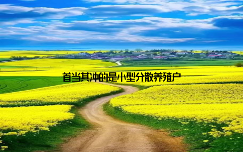 首当其冲的是小型分散养殖户