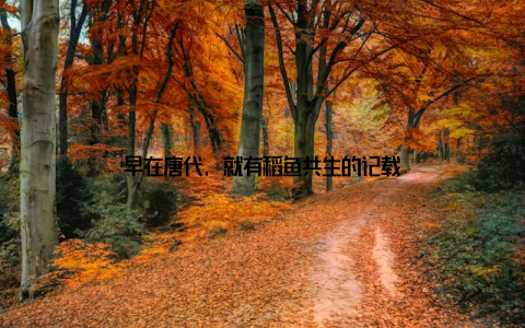 早在唐代, 就有稻鱼共生的记载