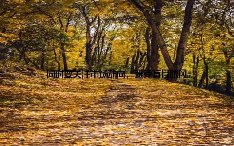 同时要关注市场动向, 避免盲目跟风