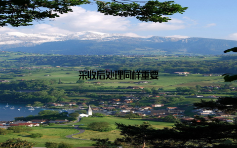 采收后处理同样重要