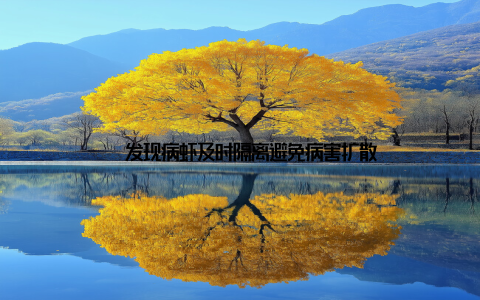 – 发现病虾及时隔离避免病害扩散