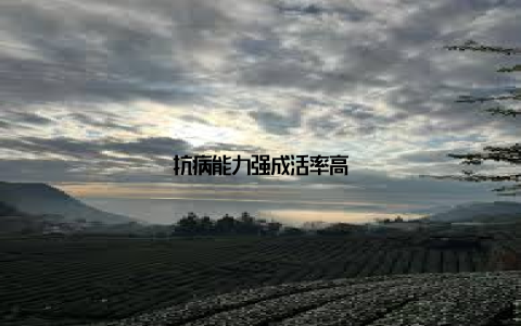 抗病能力强成活率高